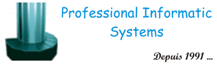 Professional Informatic Systems